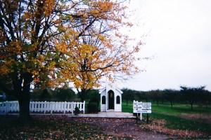 Ontario Canada November 2001