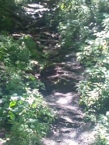 Alabama or bust great smokie mountains water fall and brook